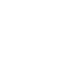 Copyright Protection